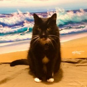 Meet your Posher, Hayley